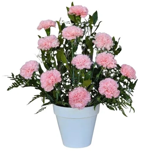Arreglo floral de condolencias claveles rosados